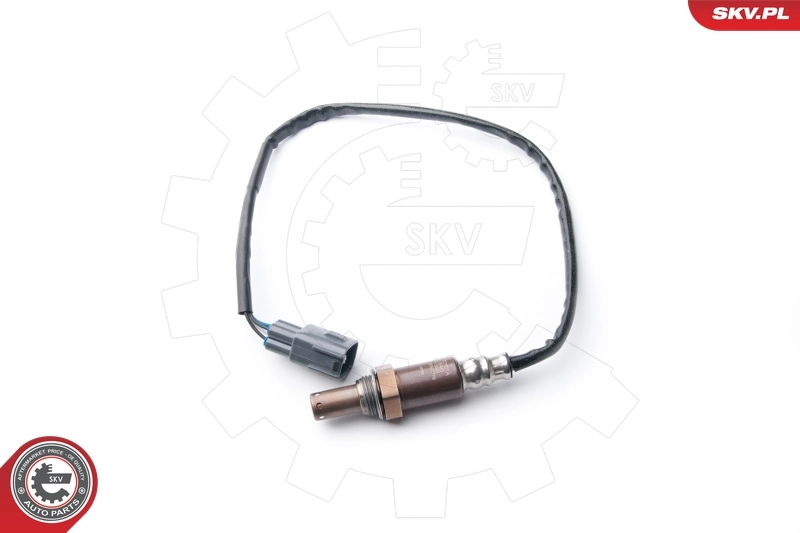 Oxygen Sensor